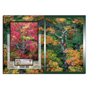 3070 - Note Card - Autumn Tapestry