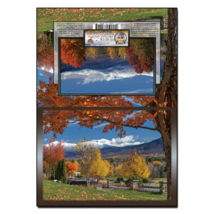 3074 - Note Card - Mountain View Autumn Snow
